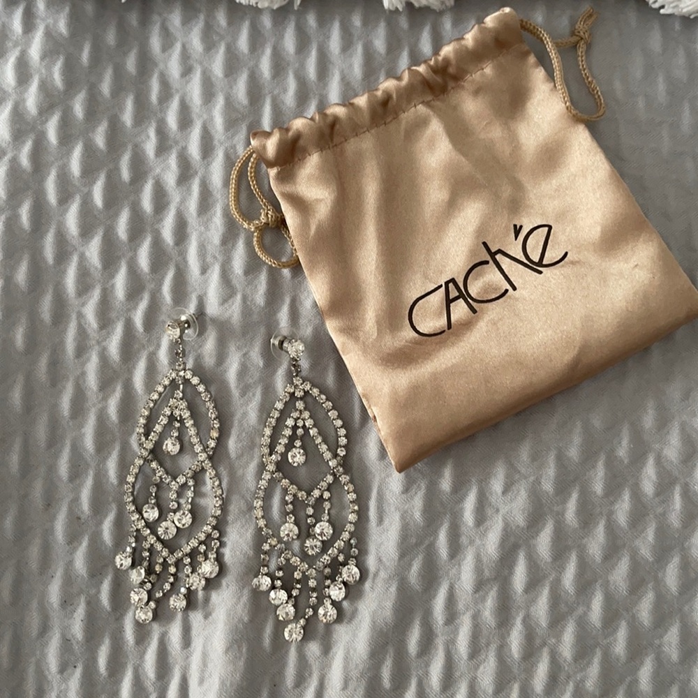 Gorgeous earrings from Cache